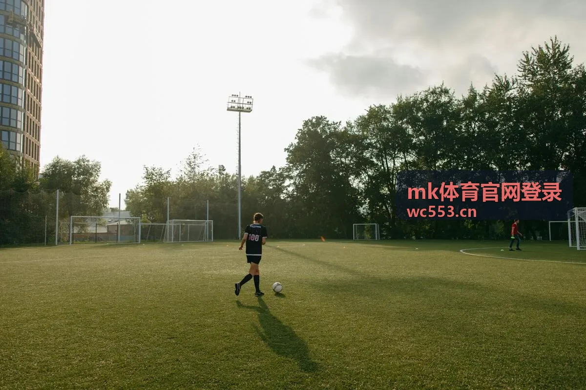 mk体育官网登录操作界面示意